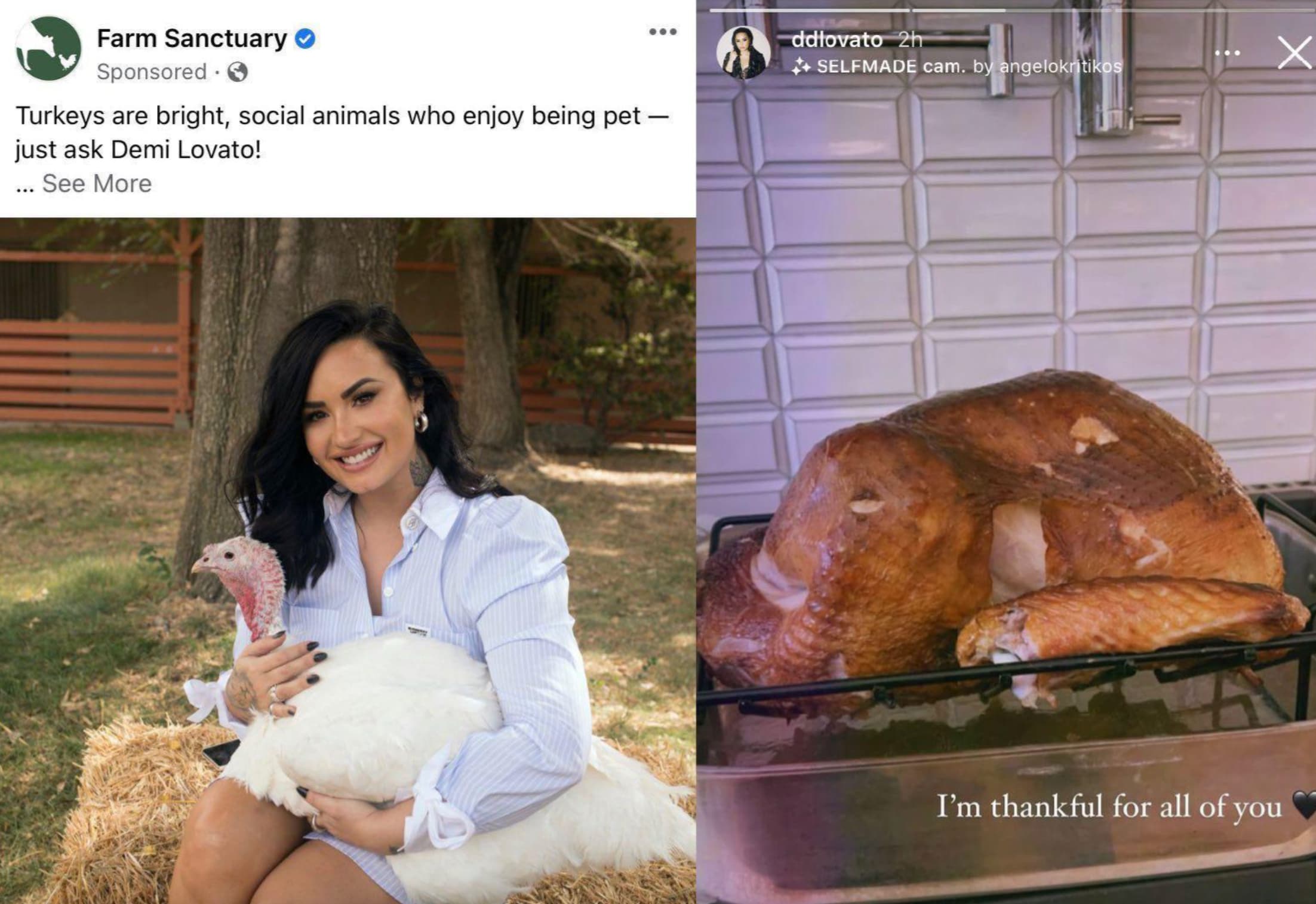 Farm Sanctuary Sponsored Turkeys are bright, social animals who enjoy being pet just ask Demi Lovato! ... See More ddlovato 2h Selfmade cam. by angelokritikos I'm thankful for all of you